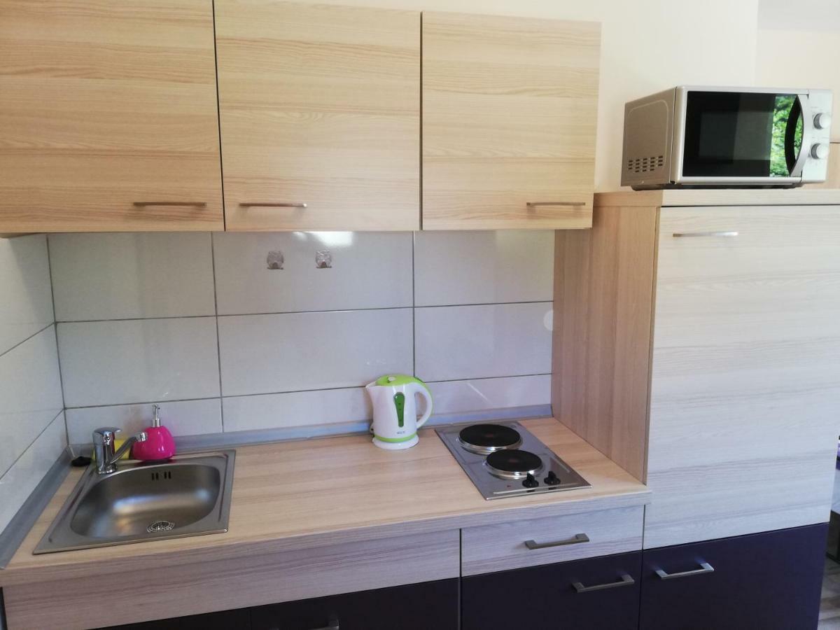 Ližnjan Studio Apartment Palmira מראה חיצוני תמונה